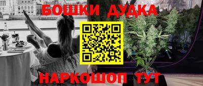 a pvp Гусь-Хрустальный